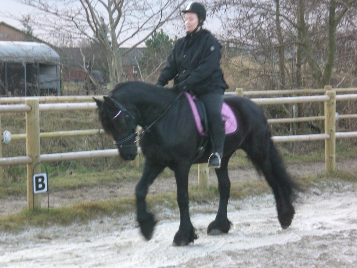 Frieser frouke ( tidliger part) billede 5