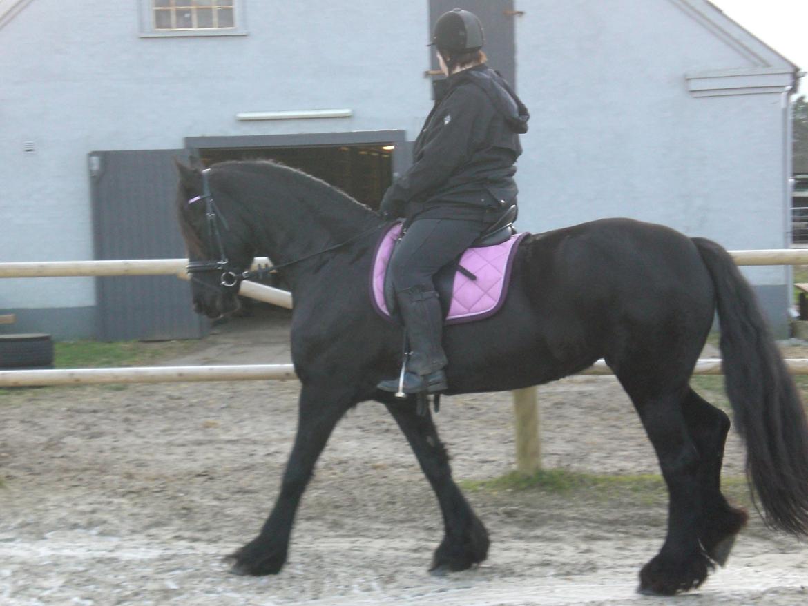 Frieser frouke ( tidliger part) billede 9