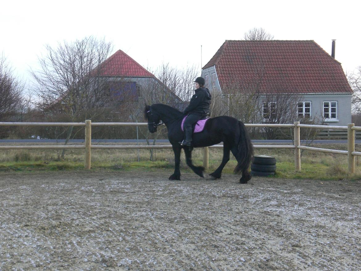 Frieser frouke ( tidliger part) billede 10