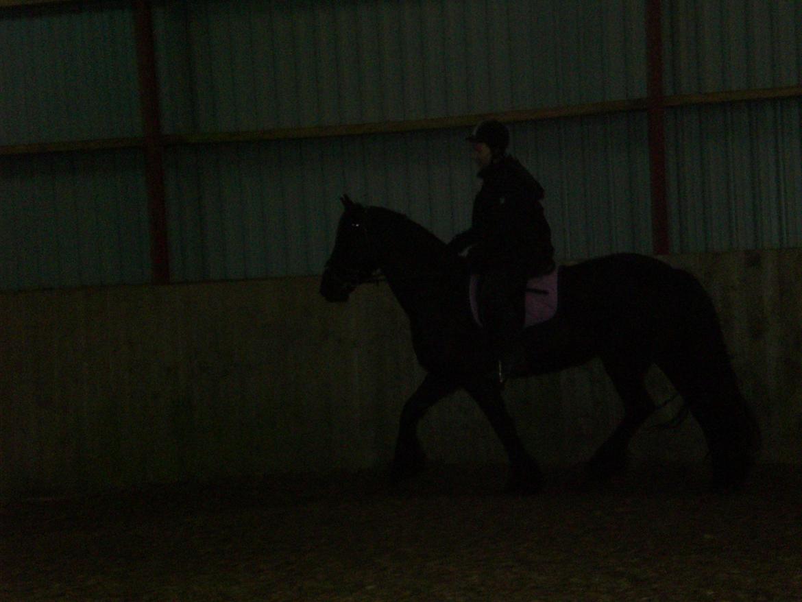 Frieser frouke ( tidliger part) billede 15