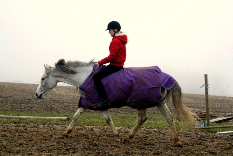 DSP Sv's Mercedes Morgenstern<3 billede 18