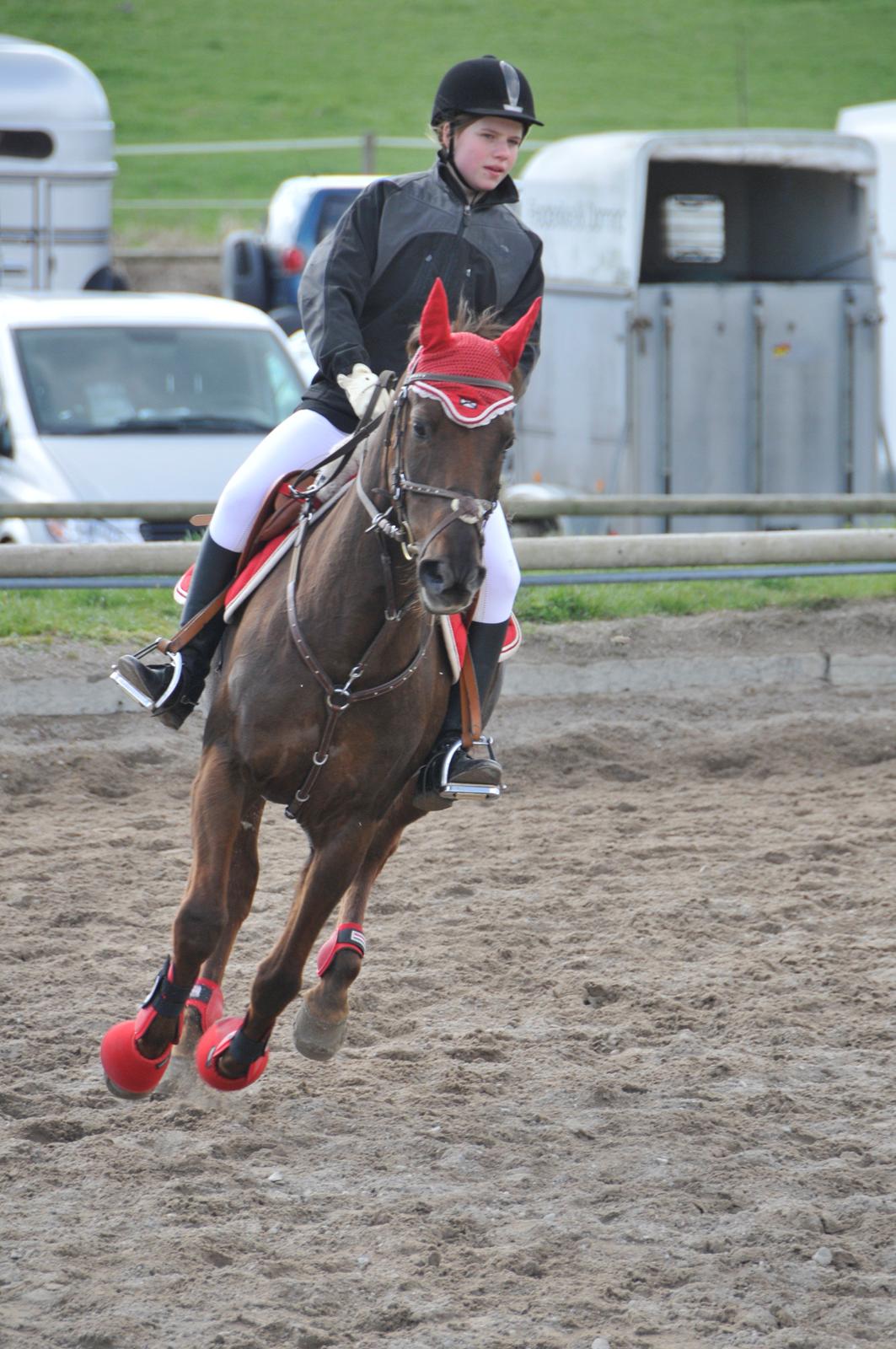 Anden særlig race Quidam - 


„Love is like a war, easy to start, difficult to stop, never to forget.“
 billede 19