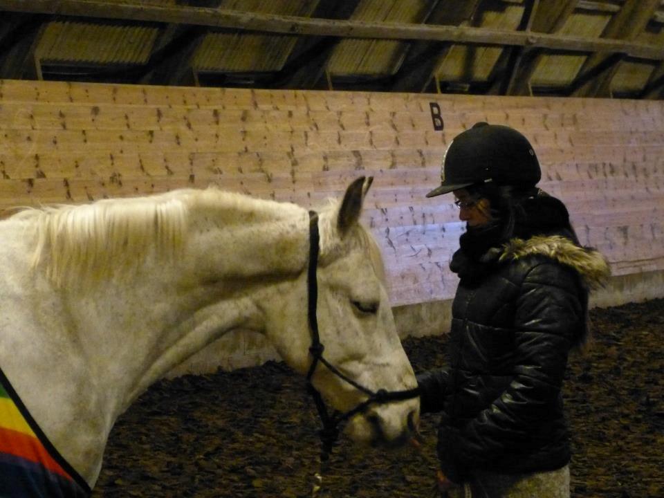 Connemara Teglstrups Samos - Hygger i ridehuset! Taget af: Min far
(Ved godt at rebgrimen sidder langt nede ved mulen så gider ikke dårlige kommentare) billede 8