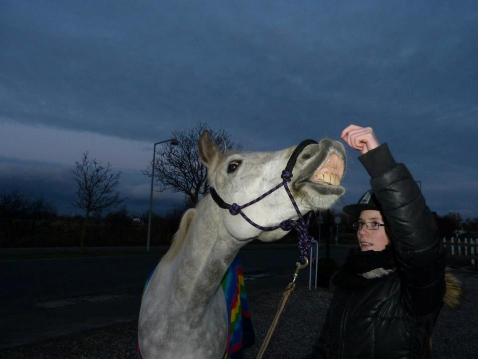 Connemara Teglstrups Samos - Velkommen til Teglstrups Samos profil :-) Taget af: Min far billede 1