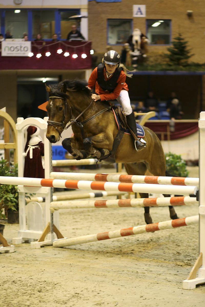 New Forest Enggårdens Conrad billede 20