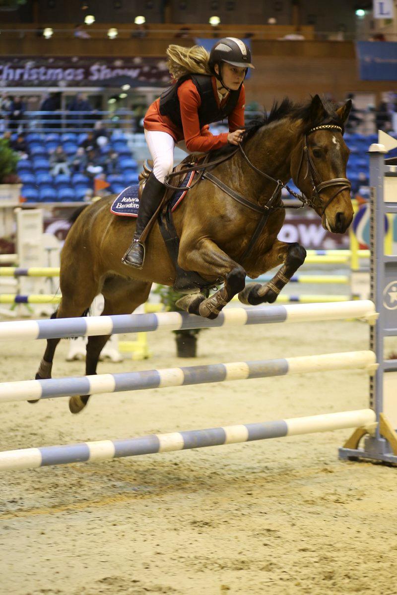 New Forest Enggårdens Conrad billede 22