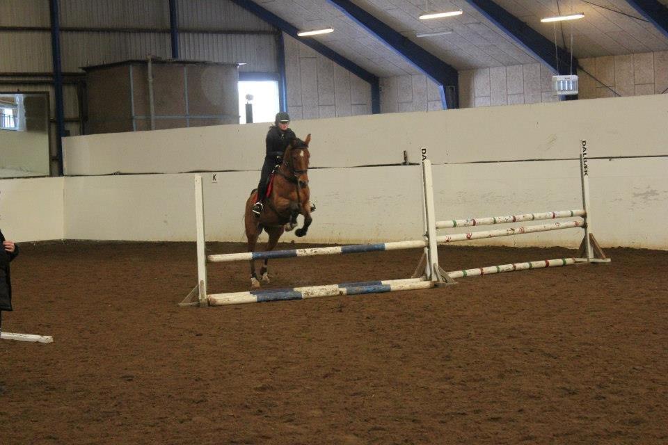 Anden særlig race Santina - første spring time ;) (2012) billede 4