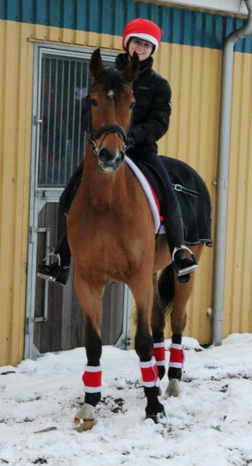 Anden særlig race Santina - en dag i sneen (2012) billede 5