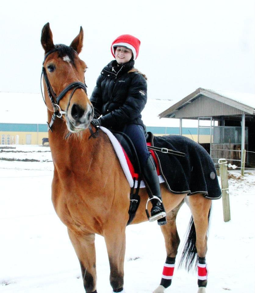 Anden særlig race Santina - et billed mere fra sneen. (2012) billede 7