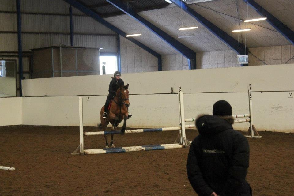 Anden særlig race Santina - første springtime (2012)
 billede 8