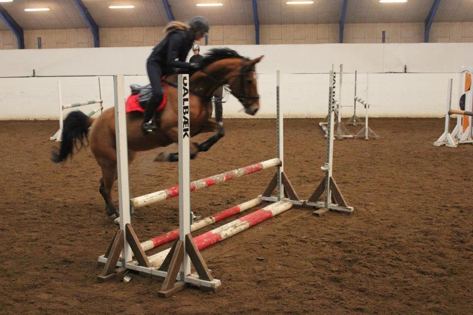 Anden særlig race Santina - første springtime (2012) billede 9