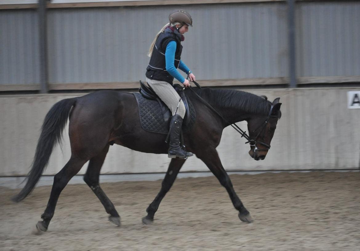 Traver Le Mans - Frem og ned ;) billede 6