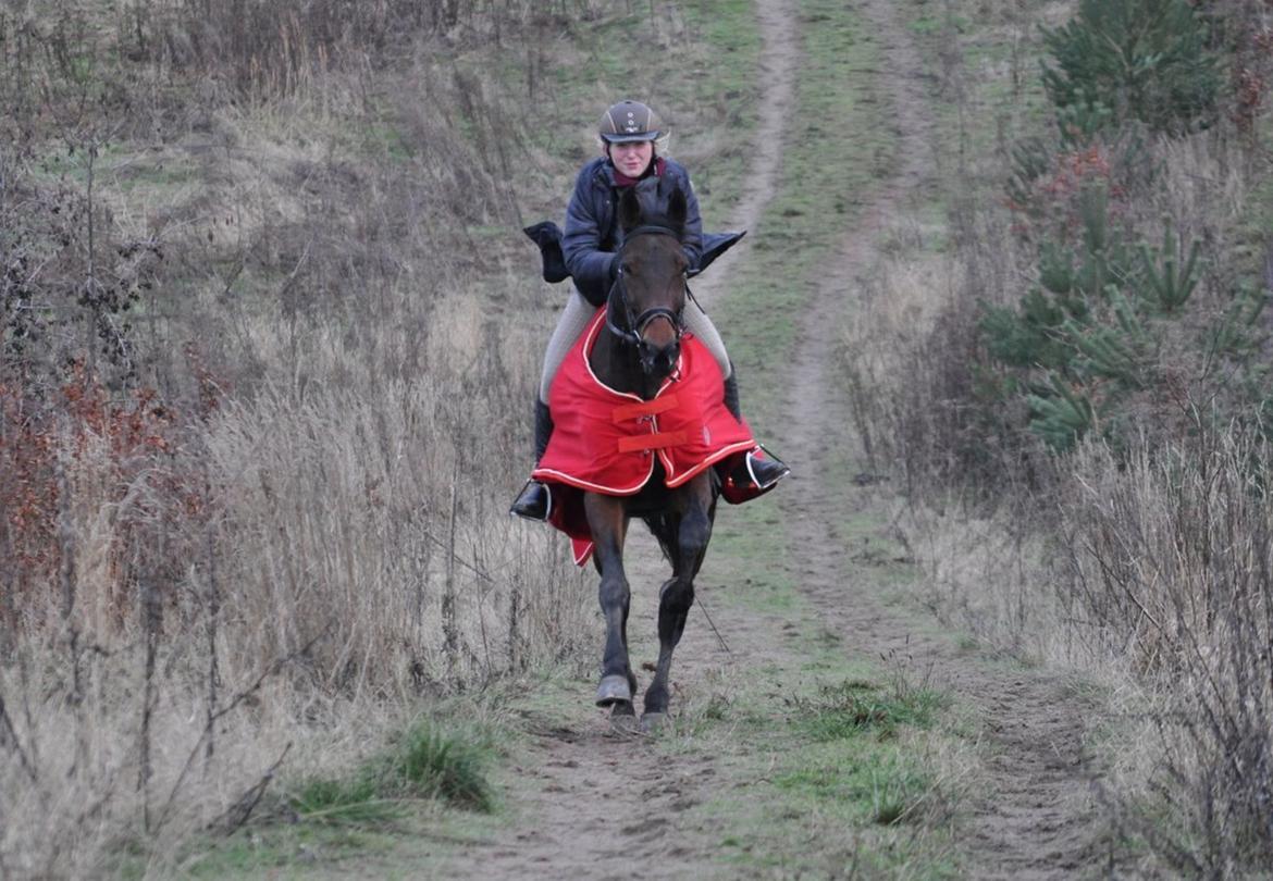 Traver Le Mans - WEEEEEE :D billede 4