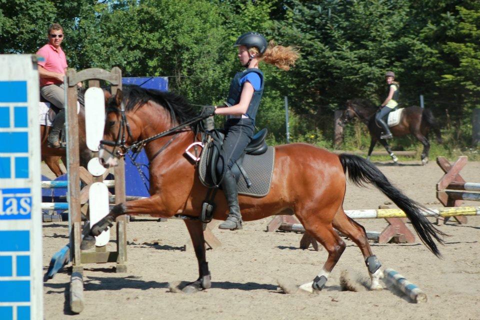 Anden særlig race Supér aka PONY - ENERGIBOMBEN |Solgt| - Ich Liebe Dich!♥♥ Foto: Sines mor billede 5