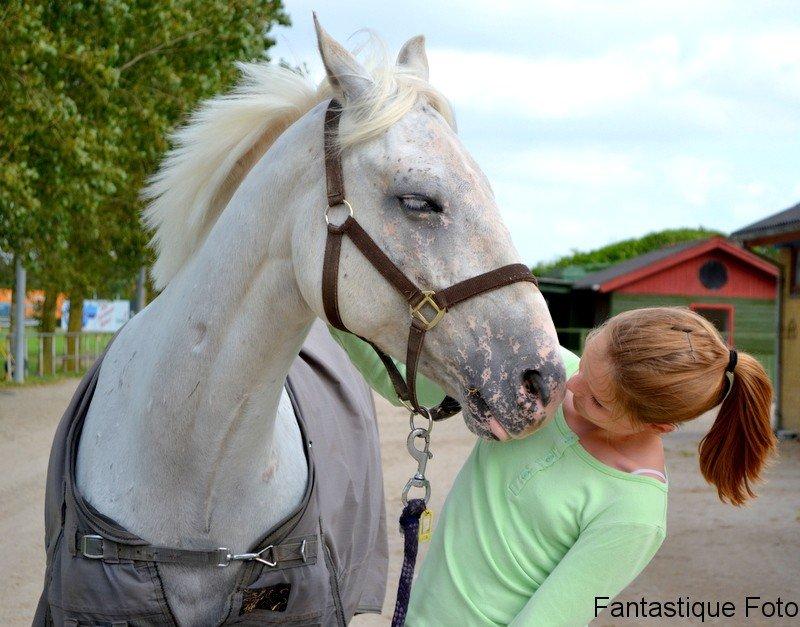 Appaloosa Flashy Littel Joe 'Har lånt' - The best & must beautiful things in the World, can not be seen or even heard, but must be felt with the heart - Joe <3 Foto: Fantastique Foto by Laura Jehrbo billede 8