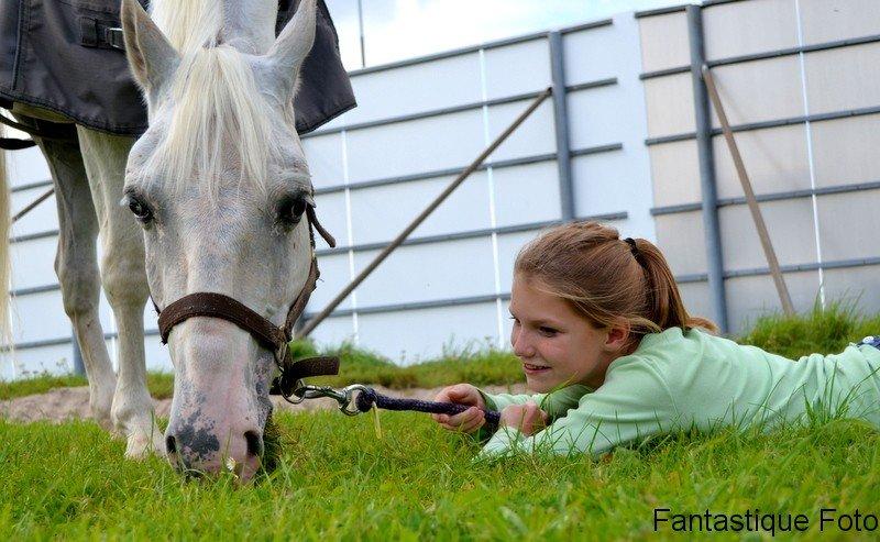 Appaloosa Flashy Littel Joe 'Har lånt' - Lev livet, du ved ikke hvor længe du har det! billede 6