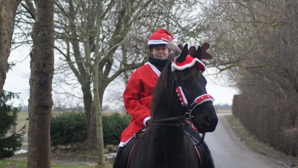 Frieser Romeo billede 14