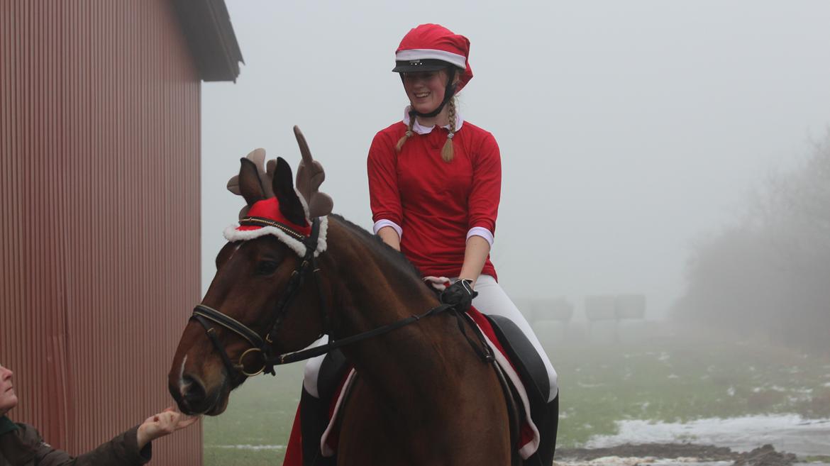 Holstener Vestergårdens La Luna - 16-12/12 ~ rensdyr og nissepigen holder sig klar til la1! billede 23