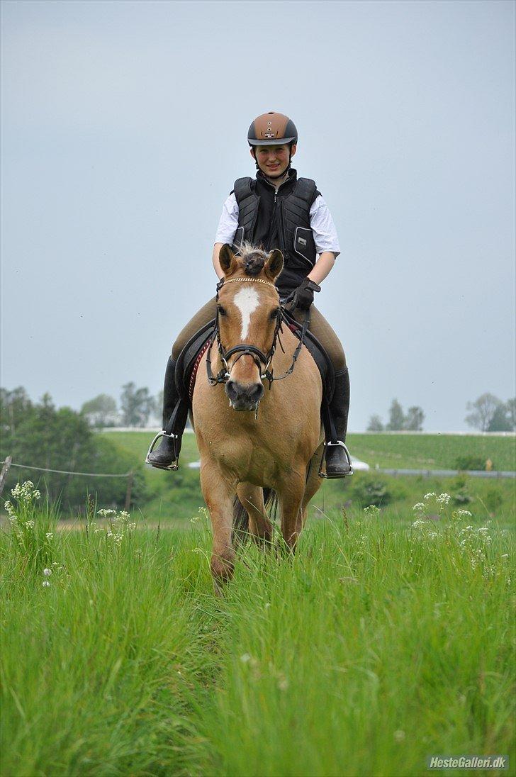 Anden særlig race Lipo Flash - Velkommen til Lipodrengens profil <3
Nyt gammelt billede på profilen ;) billede 1