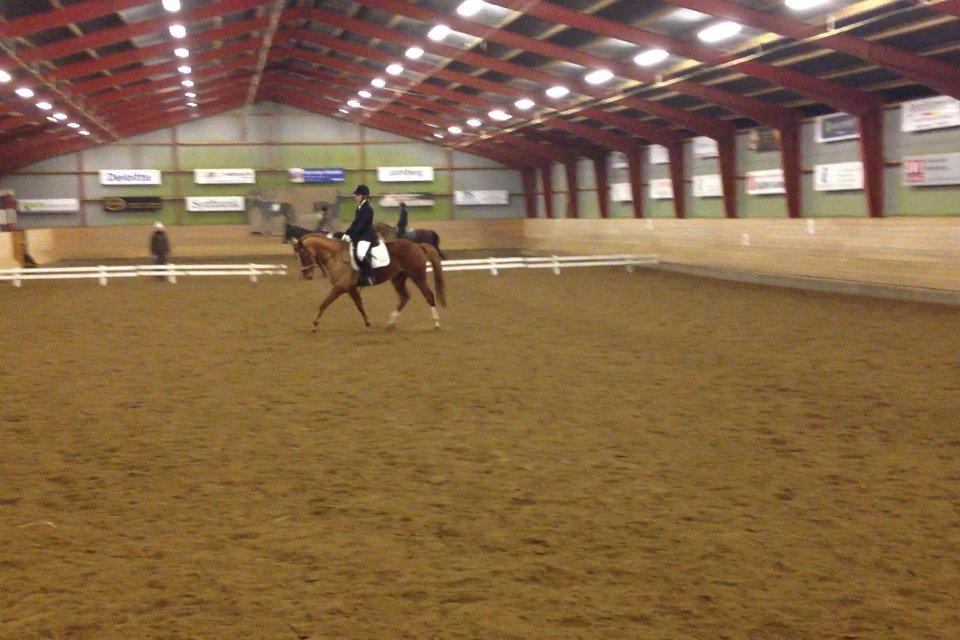 Anden særlig race Ratata <3 - Hans første stævne <3 billede 4