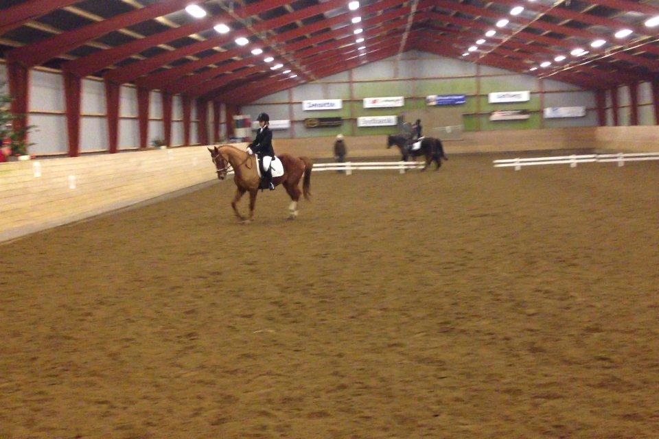 Anden særlig race Ratata <3 billede 6