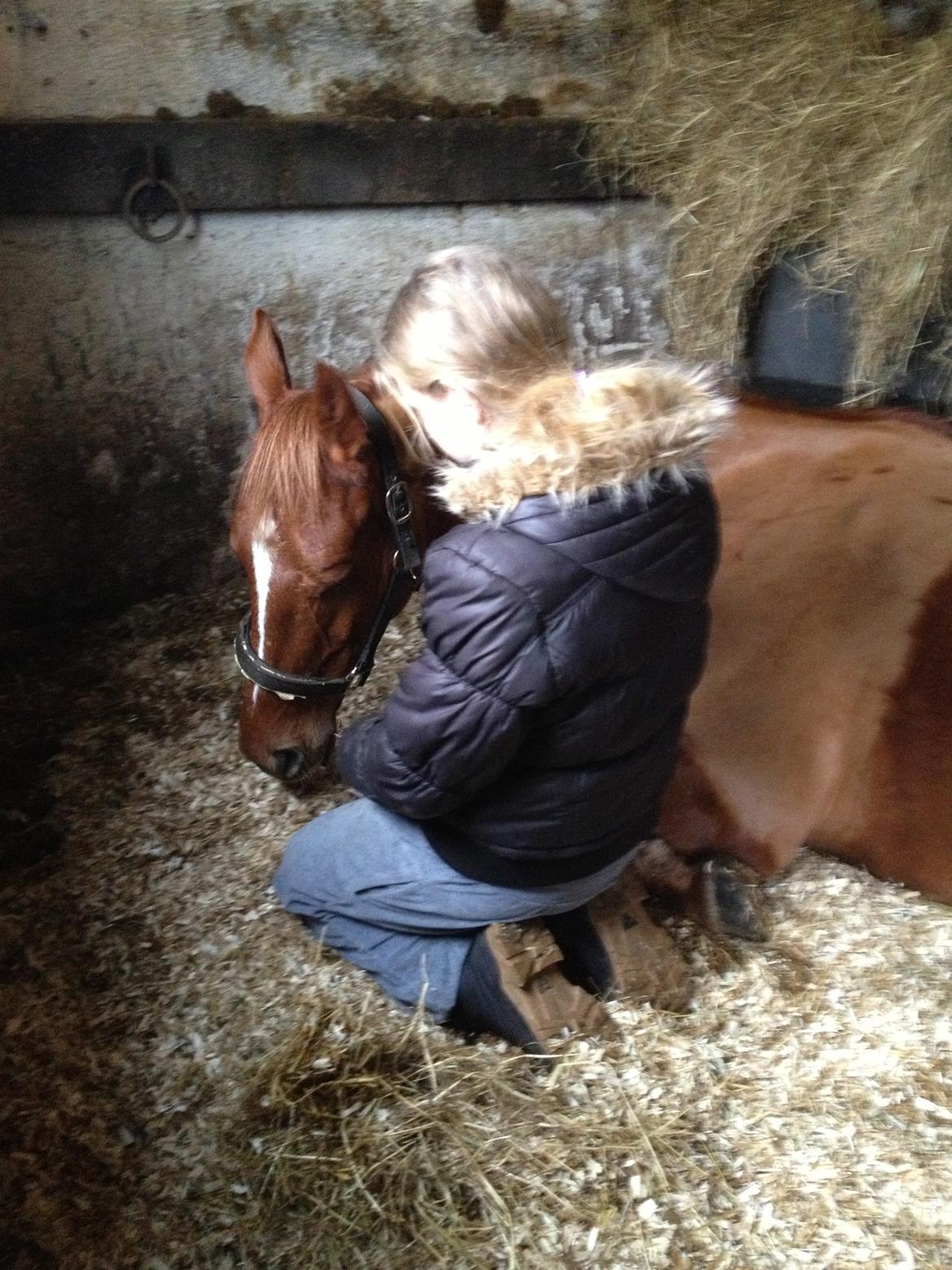 Anden særlig race Ratata <3 billede 7