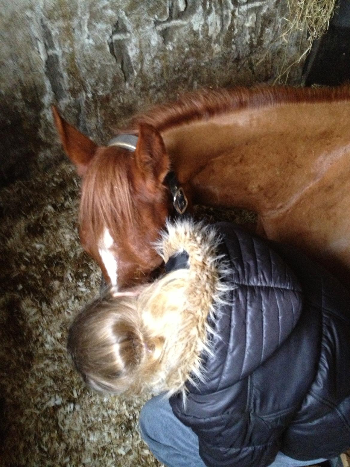 Anden særlig race Ratata <3 billede 8