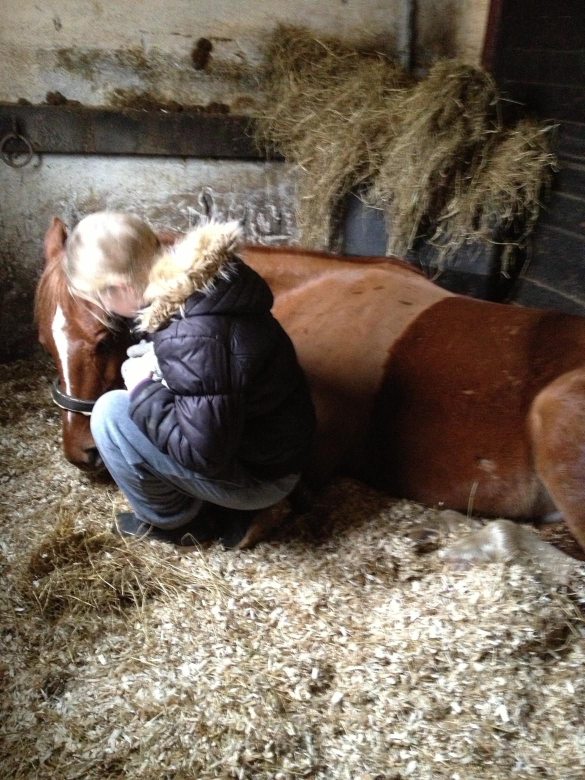 Anden særlig race Ratata <3 billede 9