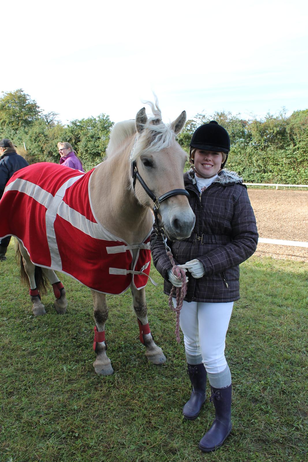 Fjordhest skovvangs sallie. billede 7