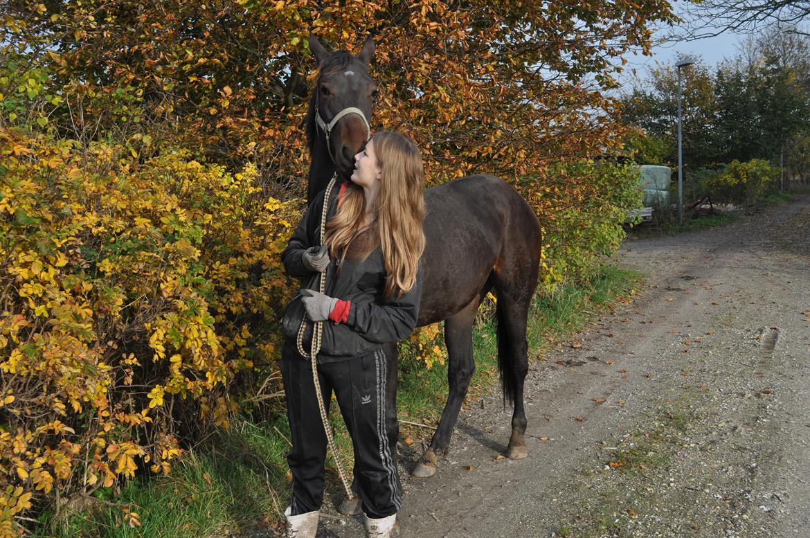 Oldenborg Hedebos Norma Jean billede 11