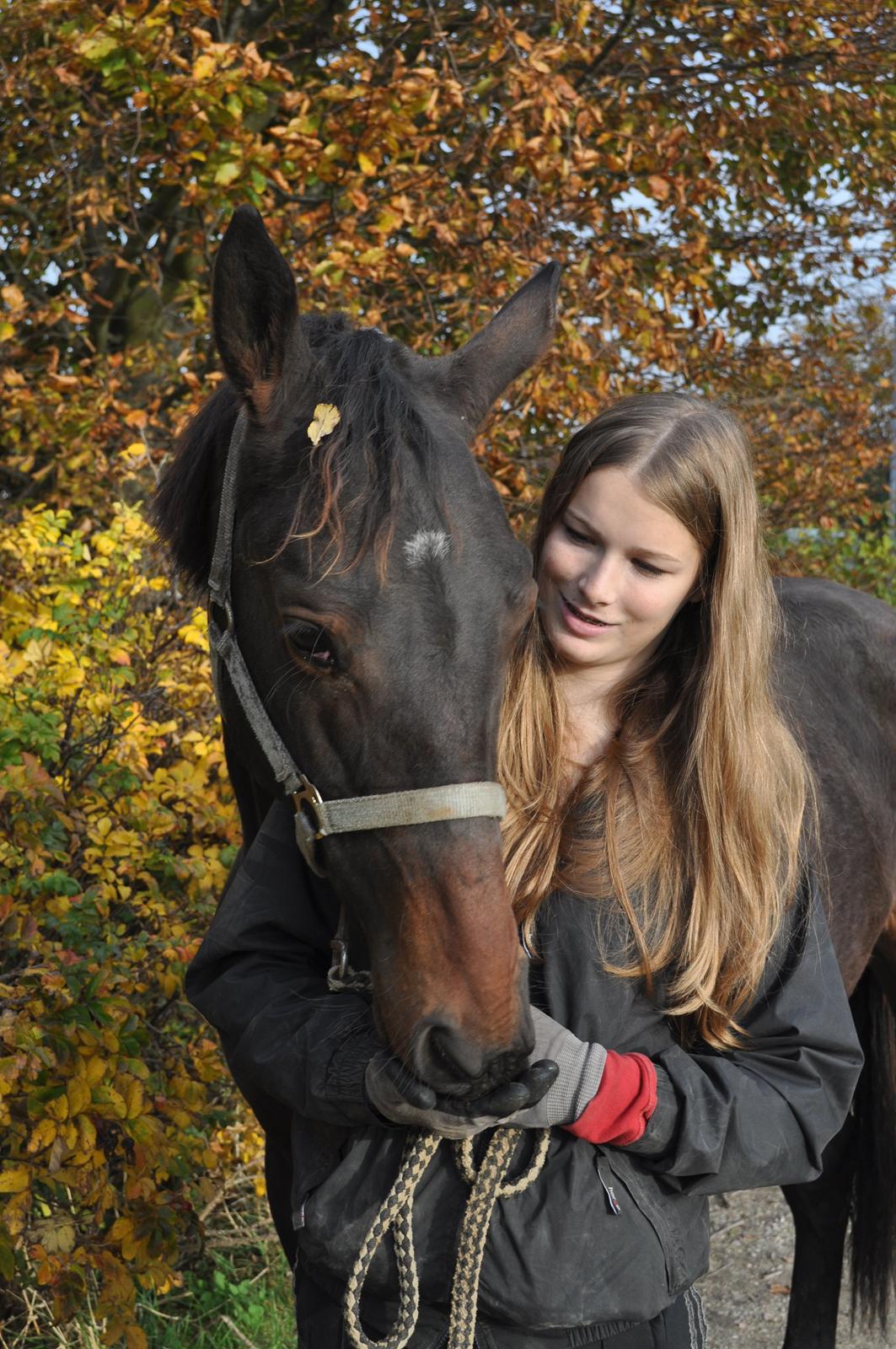 Oldenborg Hedebos Norma Jean billede 12