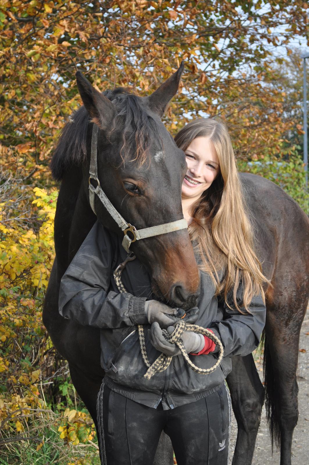 Oldenborg Hedebos Norma Jean billede 13