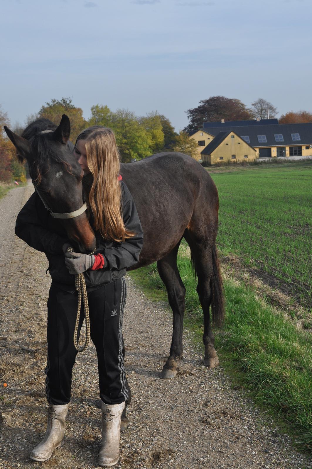 Oldenborg Hedebos Norma Jean billede 17