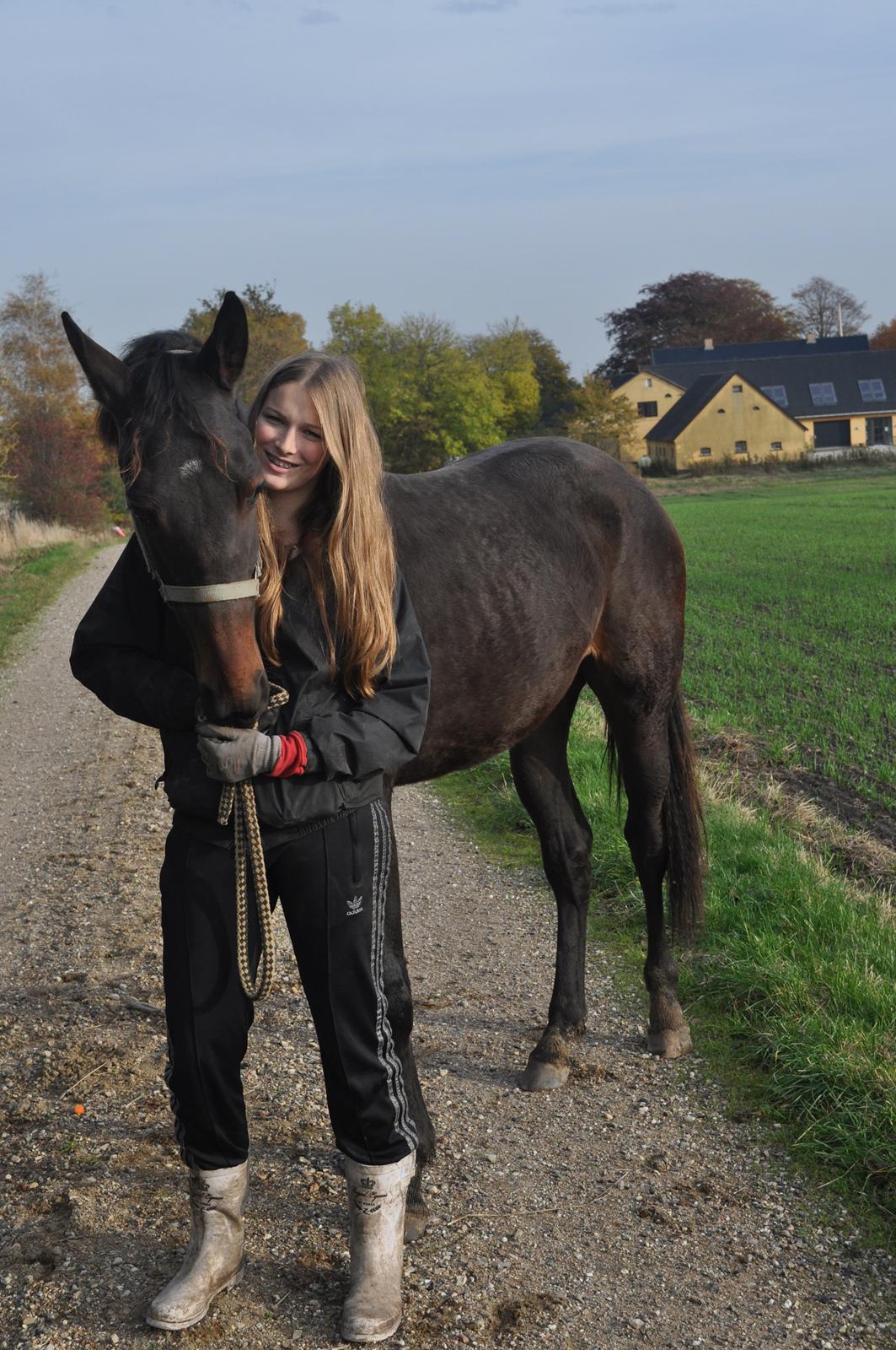 Oldenborg Hedebos Norma Jean billede 18