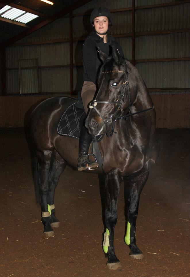 Trakehner Ranette - Prinsesse Nette :-* - thihi første springundervisning på bondegården! :-) billede 4