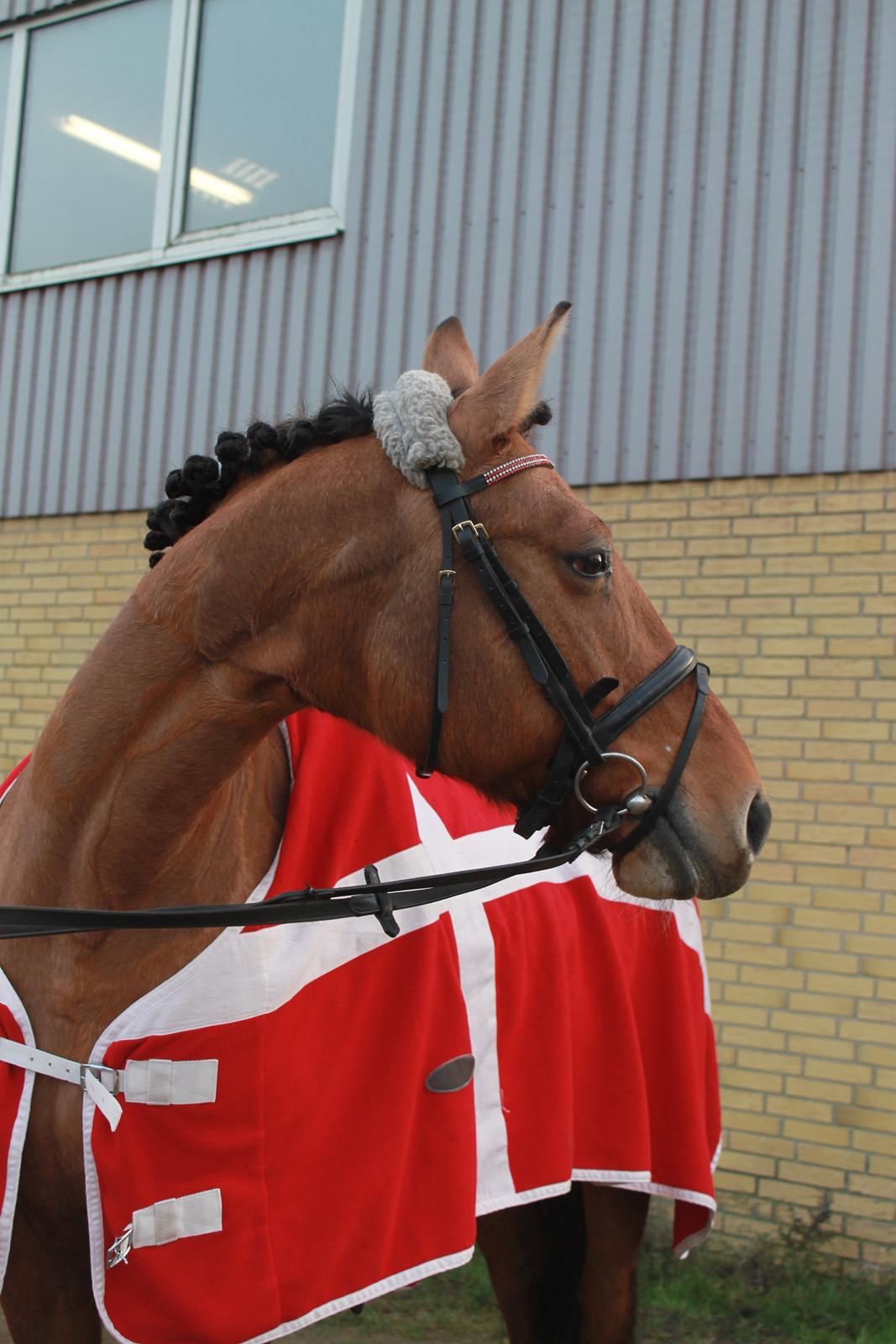 Anden særlig race Trunte ( Trunte pigen ) billede 13