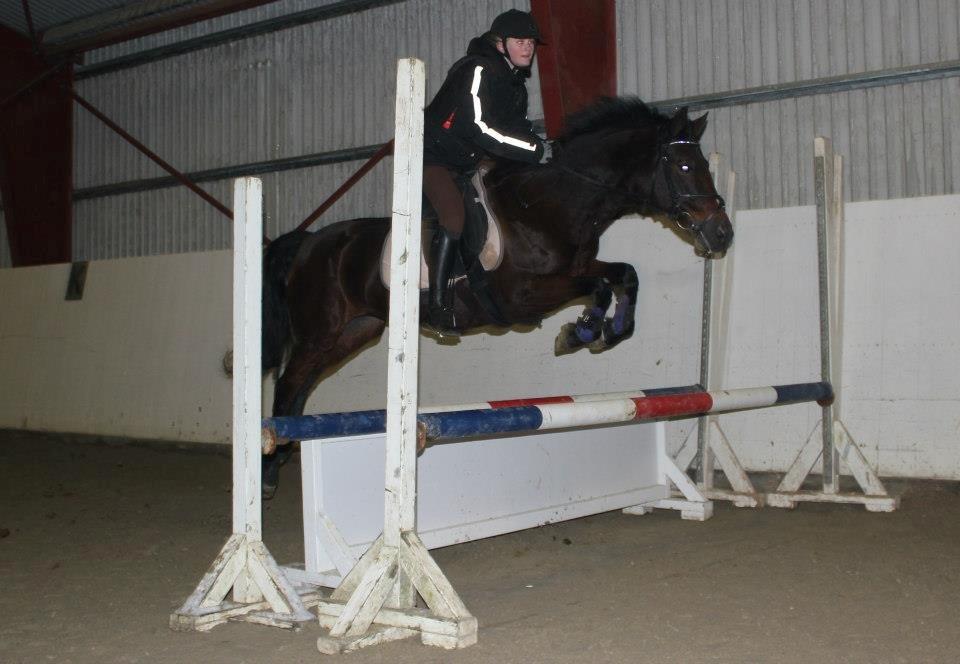 Connemara Tobæks Isabella <3 billede 16