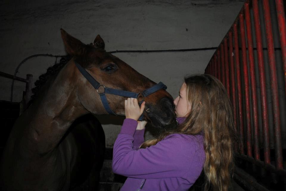 Anden særlig race Malibu<3 billede 18