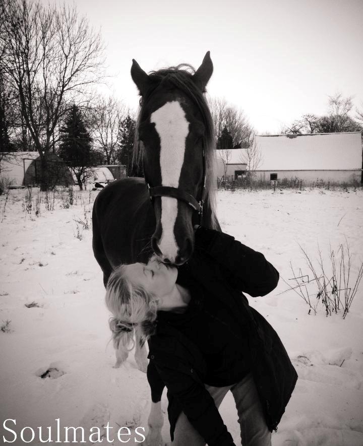 Anden særlig race Amigo - møs møs  billede 15