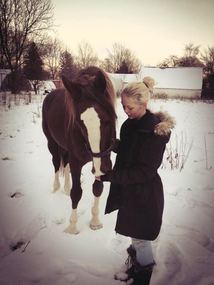Anden særlig race Amigo billede 16