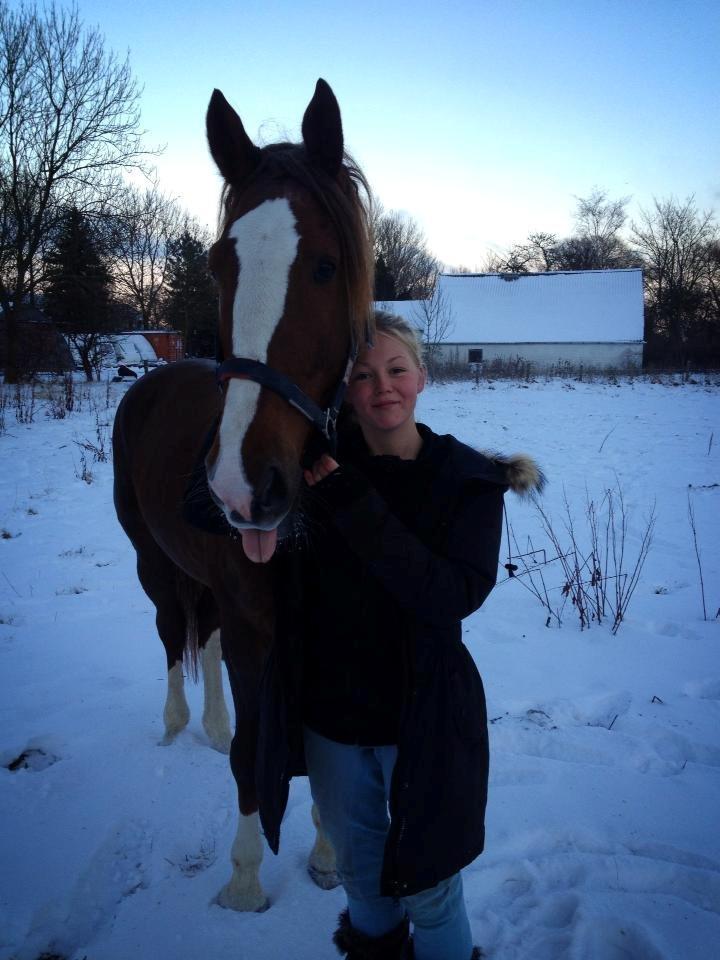 Anden særlig race Amigo billede 19