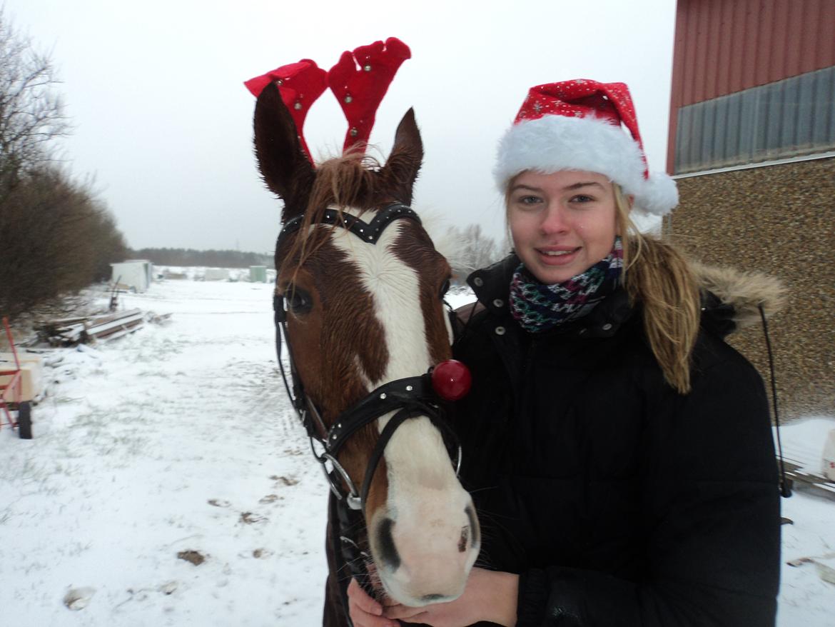 Anden særlig race Mc Queen - Glædelig jul :-) billede 6