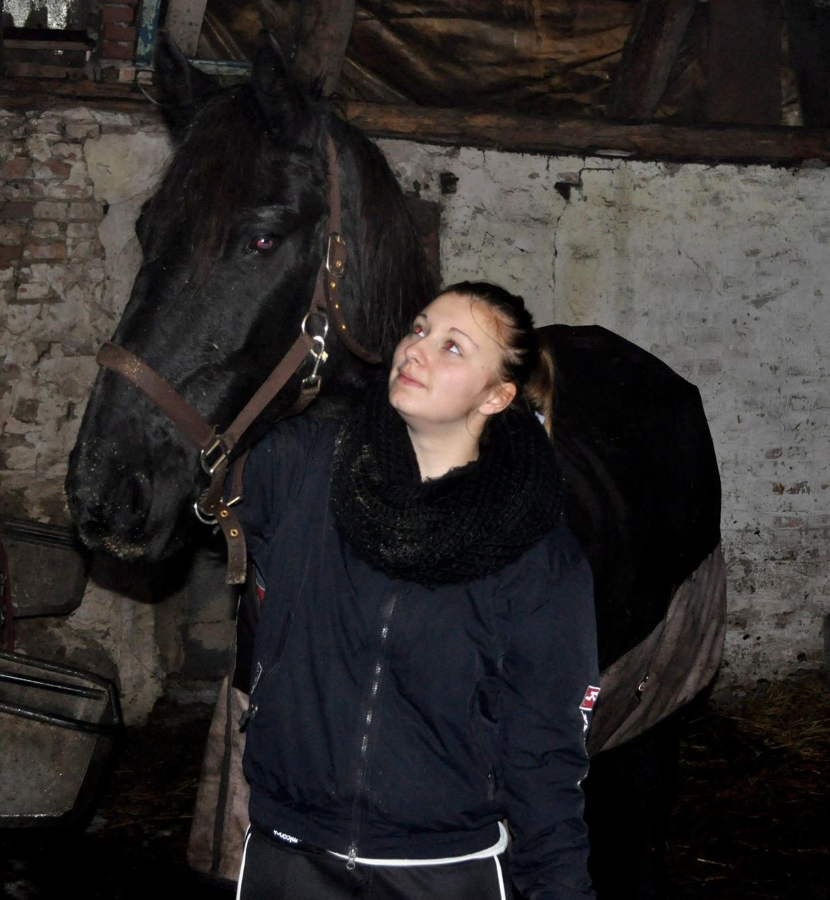 Frieser Geartsje Tjimske K. [Solgt] - It's time to say goodbye now. <3 billede 2