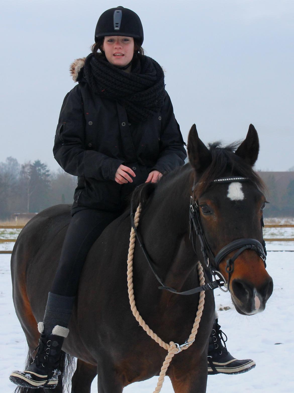 DSP Martilla (Part) billede 2