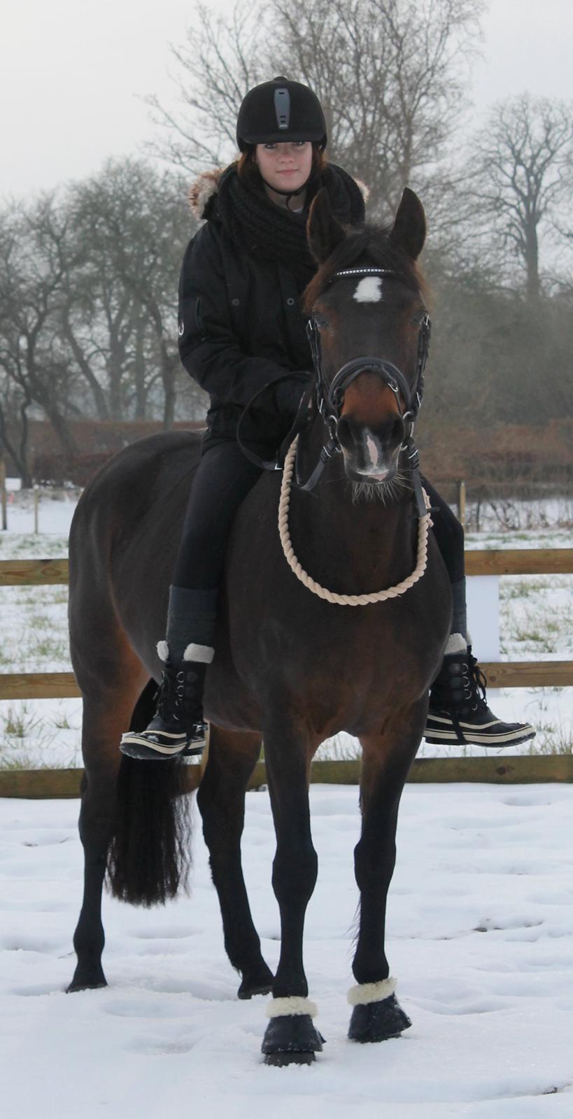 DSP Martilla (Part) billede 3