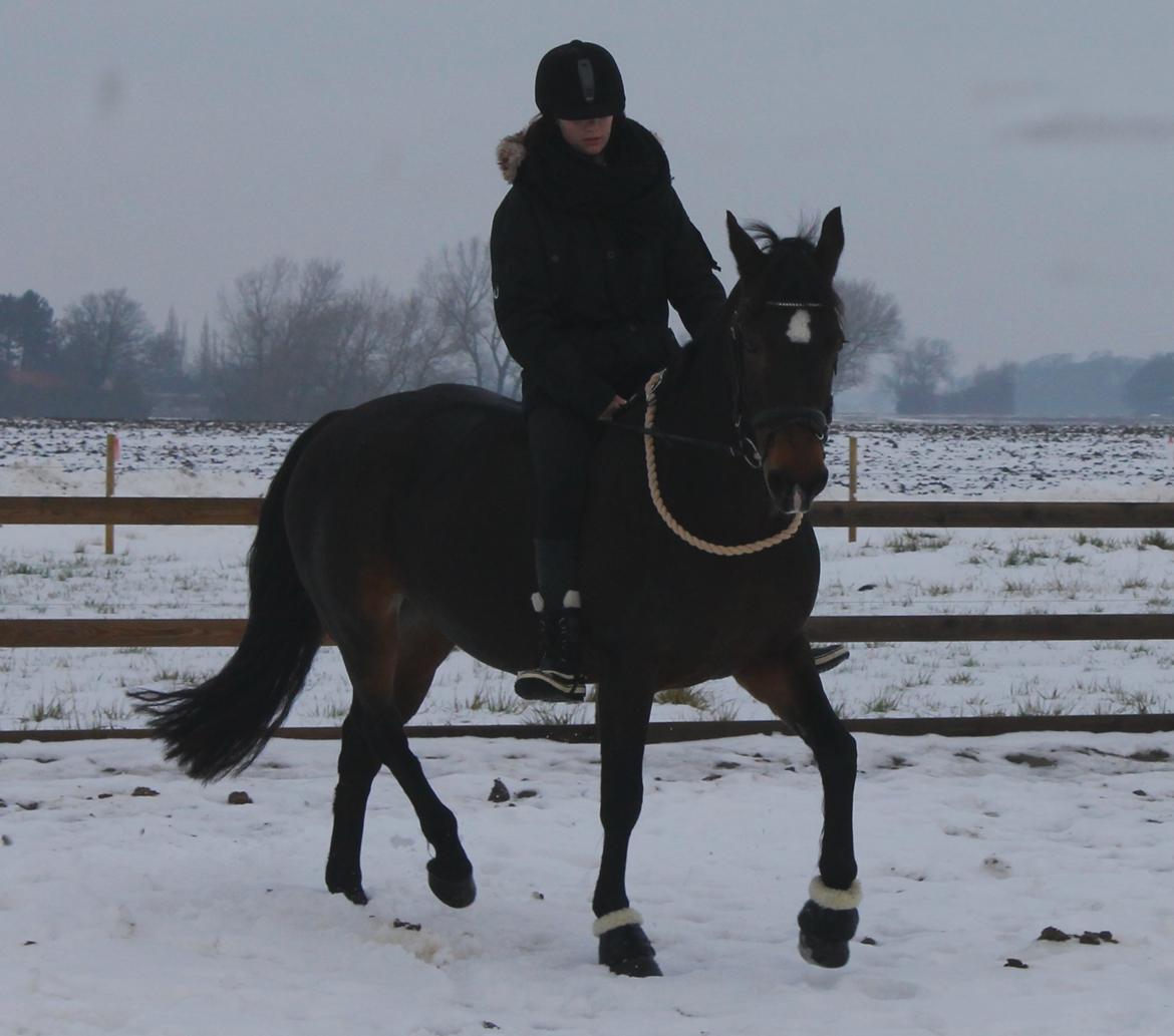 DSP Martilla (Part) billede 4