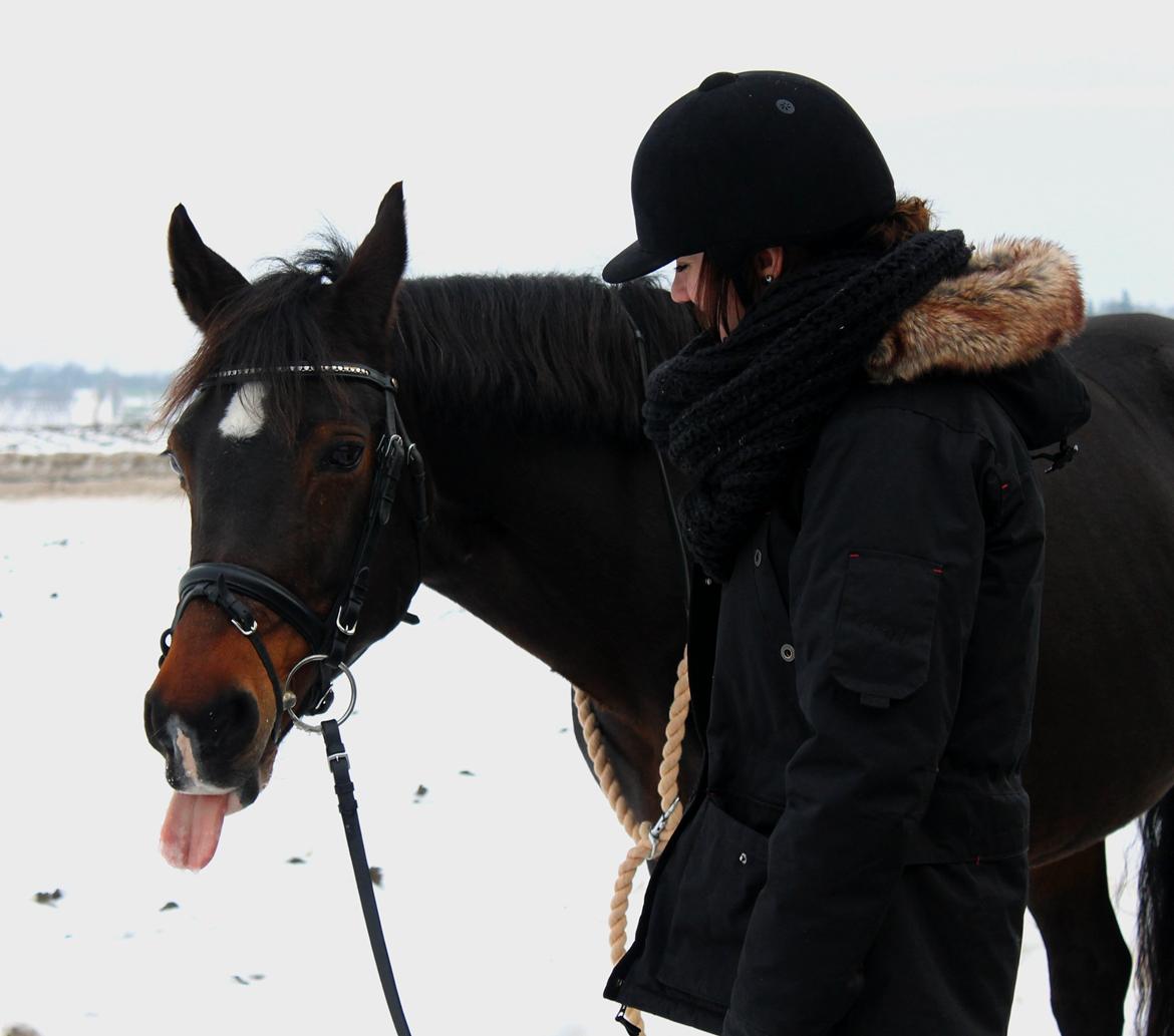 DSP Martilla (Part) billede 5