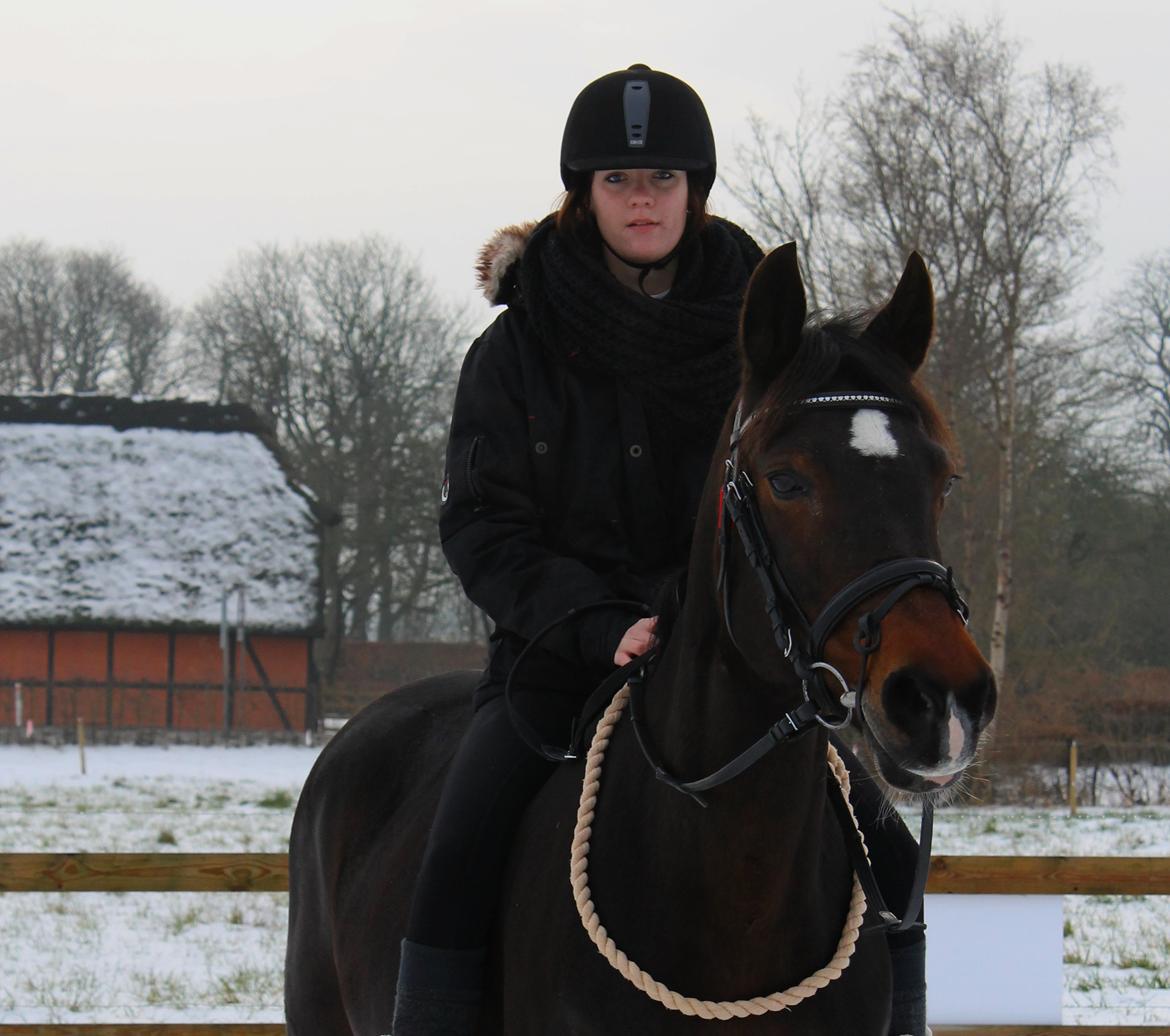 DSP Martilla (Part) billede 6