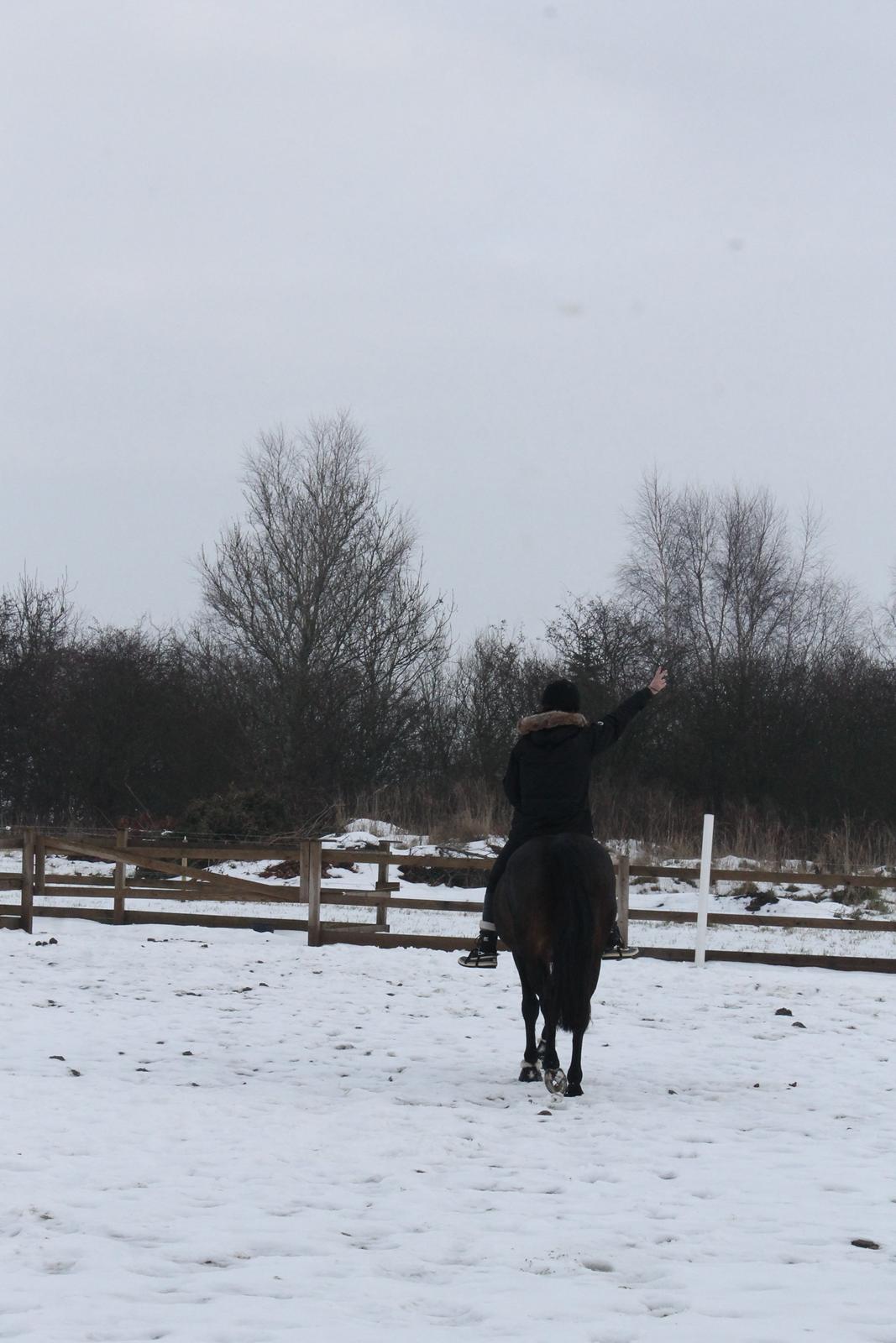 DSP Martilla (Part) billede 7