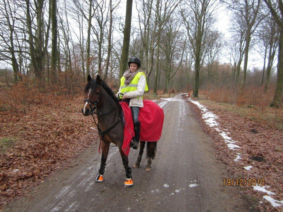 Anden særlig race La-Paloma - "I'm in love with you... And all thise little things!" :-*  billede 6